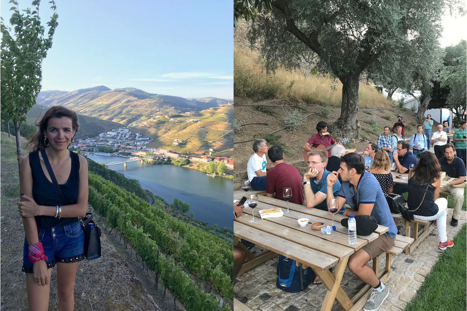 Quinta das Carvalhas, o Douro – interessante e emocionante visita!